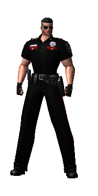 SGT. STONE